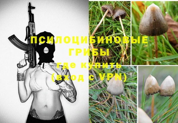 MDMA Нязепетровск