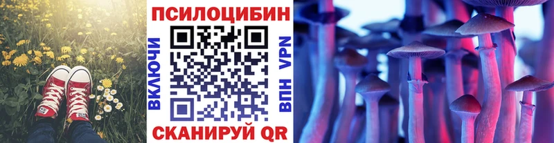 площадка телеграм  Руза  Псилоцибиновые грибы GOLDEN TEACHER 
